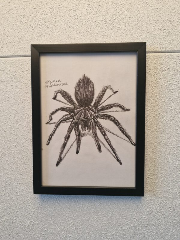 Inktober spider 2023